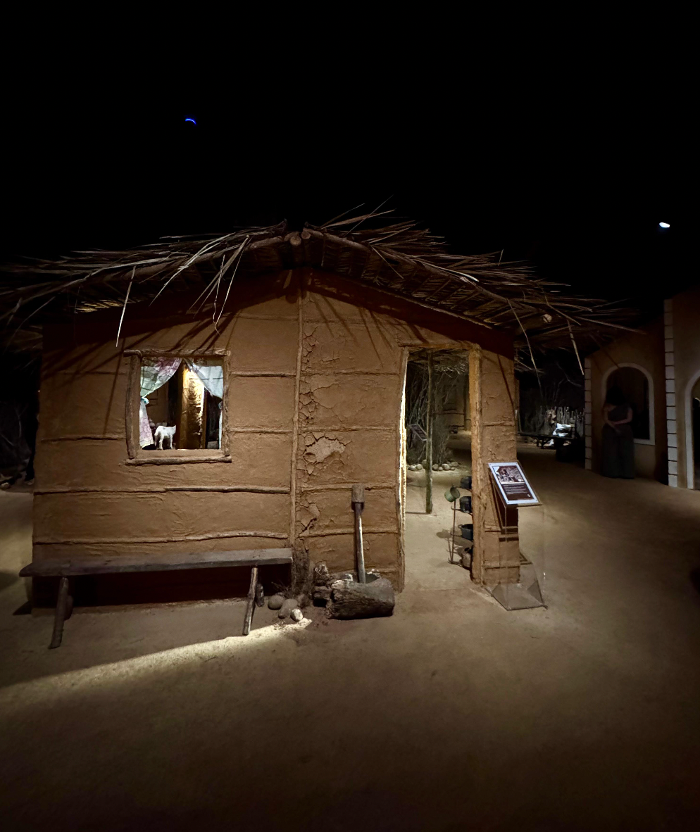 CVS BENEFICIOS ONG SOCIAL 